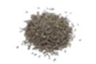 Caraway (Comino Persa o Alcaravea) Especie
