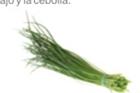 Chives (Cebollines) Especie