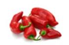 Paprika Especie