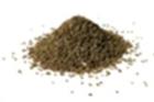 Semilla de apio (Celery Seed) Especie